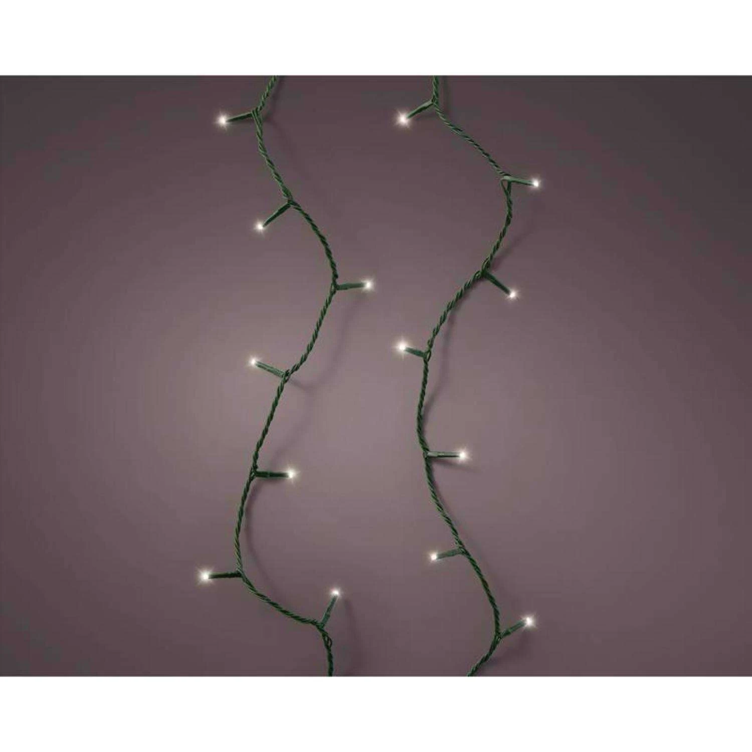 Celebrations Gold LED Clear/Warm White 250 Ct Christmas Lights 61.35 Ft. - Image 2