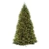 National Tree 12 Ft. Full Incandescent 1200 Ct Dunhill Fir Christmas Tree