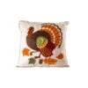 Glitzhome 0.15 In. Embroidered Turkey Pillow Cover Blow Mold