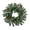 Celebrations Home 24 In. D Wreath