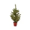Everlands 2 Ft. Slim LED 30 Lights Fresh Cut Christmas Tree