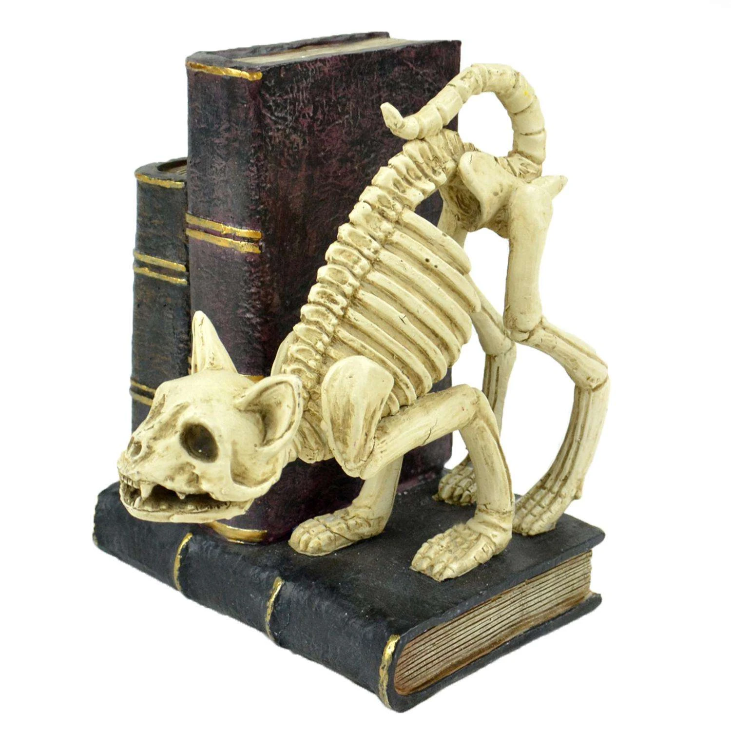 Touch Of Nature 6 In. Cat Skeleton With Books Halloween Decor