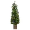 Celebrations 4 Ft. Slim LED 50 Ct Mixed Pine Color Changing Entrance Tree