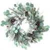 Celebrations 24 In. D Frosted Pine Cone Wreath