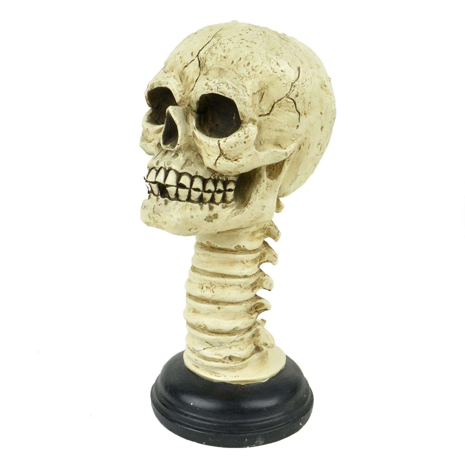 Touch Of Nature 9.5 In. Skull With Spine Halloween Decor