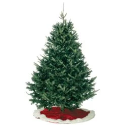 Kirk 7 Ft. Full Balsam Fir Christmas Tree