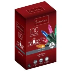Celebrations Stay Shine Incandescent Mini Multicolored 100 Ct String Christmas Lights 33 Ft.